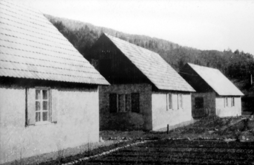 Houses quickly built on Gries an der Lieser street in Gmünd