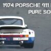 Porsche 911 Carrera RSR 3.0 Pure Car Sound!