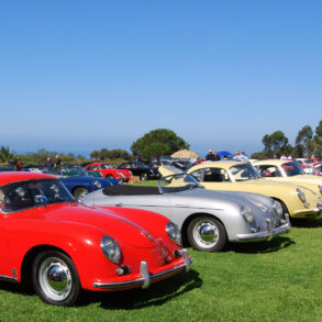 Porsches at 356 Concours