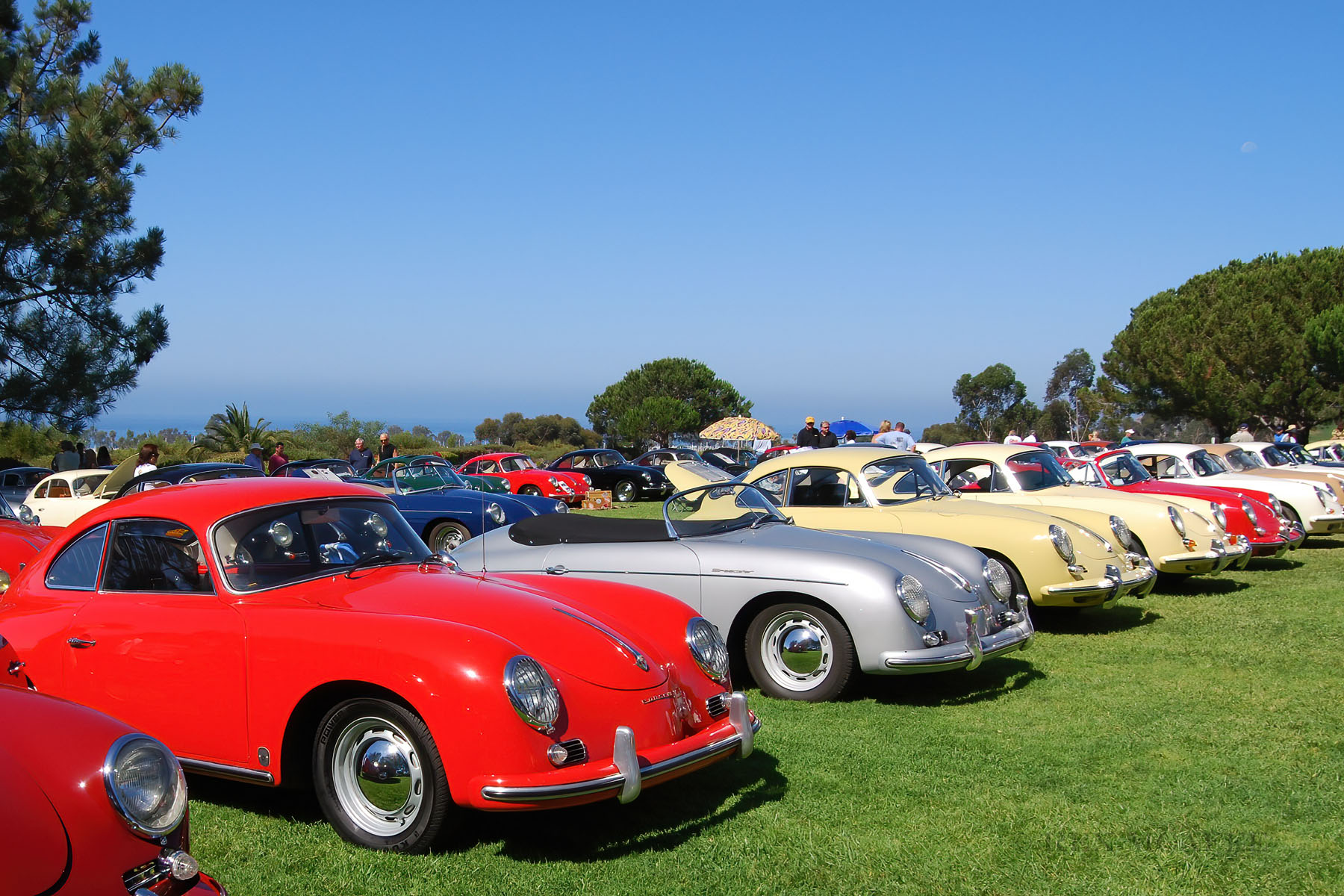 Porsches at 356 Concours