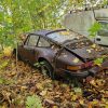 Neglected Porsche 911 911 SC 3.0 buried in the woods