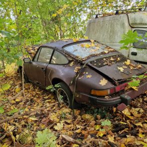 Neglected Porsche 911 911 SC 3.0 buried in the woods