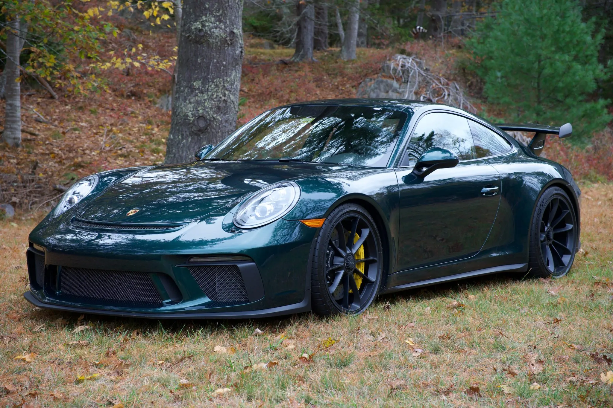 Load larger image of Jet Green 2018 Porsche 911 GT3 - Stuttcars Classified